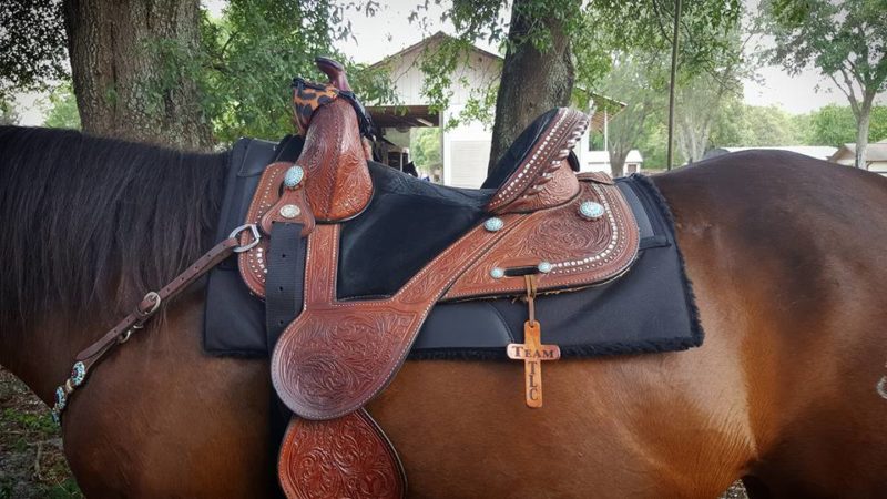 Close-up of Thinline saddle on brown horse under trees.