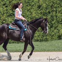 Woman riding horse outdoors using Thinline products, lush green background.