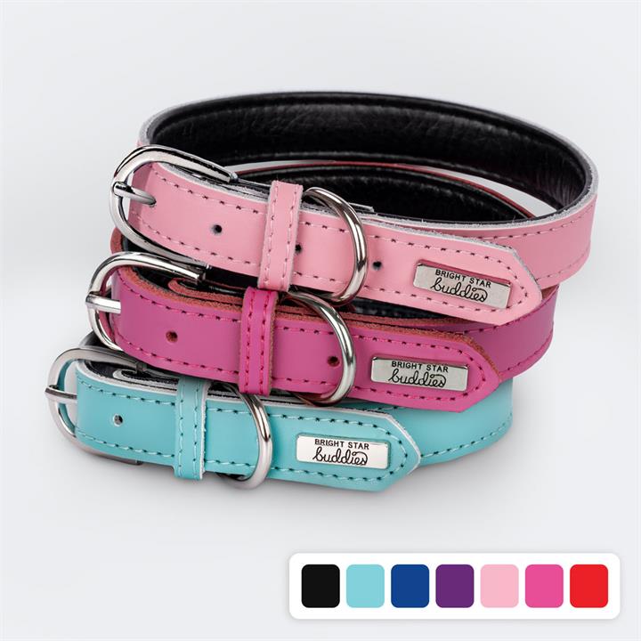 Dog Collars-Bright Star Buddies Dog Tags & Bandanas-The Equestrian