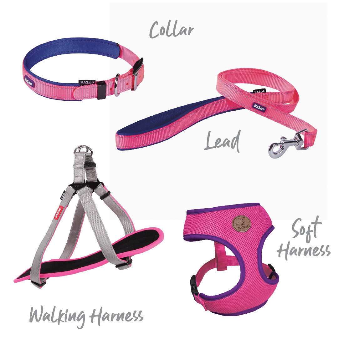 Kazoo Dog Harness Active Soft Bloom Burst-Ascot Saddlery-The Equestrian