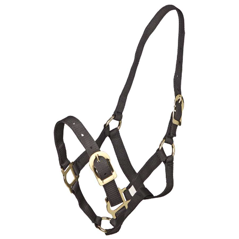 Zilco Headcollar-Southern Sport Horses-The Equestrian