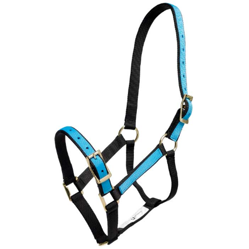 Zilco Overlay Headcollar-Southern Sport Horses-The Equestrian