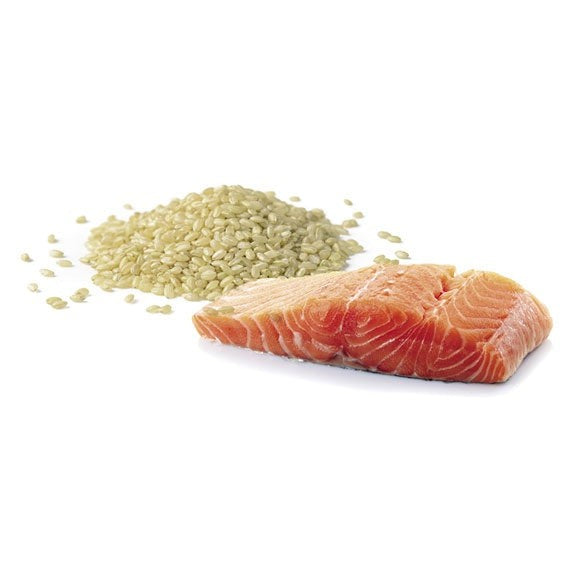 A La Carte Cat Salmon & Rice 7.5kg-Ascot Saddlery-The Equestrian