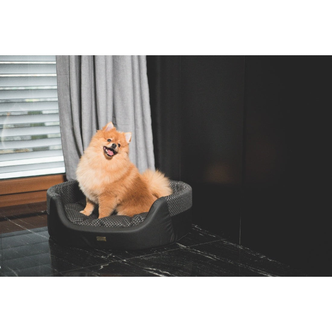 Zz Amiplay Morgan Ellipse Dog Bed Black-Ascot Saddlery-The Equestrian