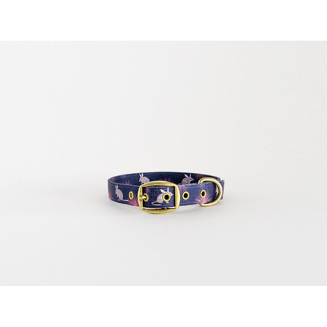 Anipal brand purple dog collar with gold hardware on white background.