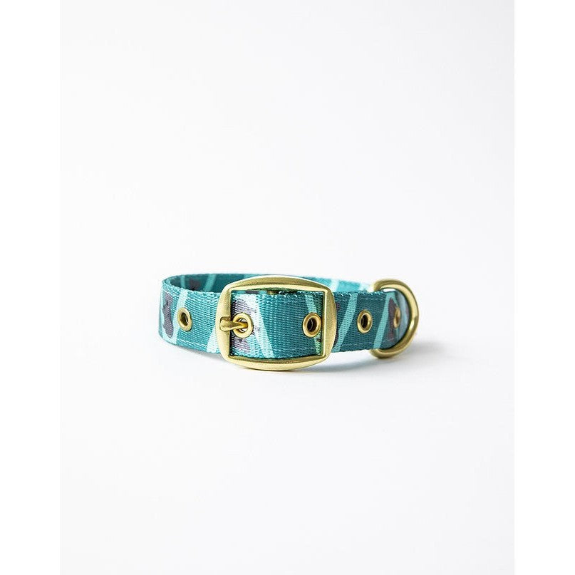 Anipal blue dog collar with gold buckle and eyelets on white.