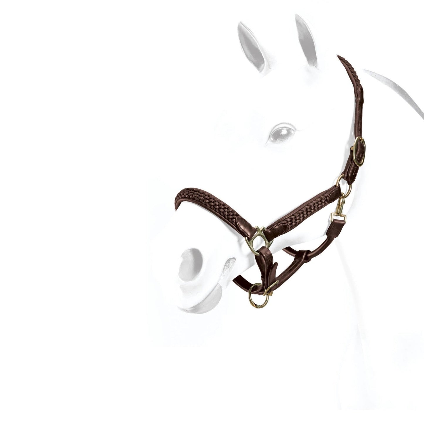 Equipe Leather Halter with Braid Detail-Trailrace Equestrian Outfitters-The Equestrian