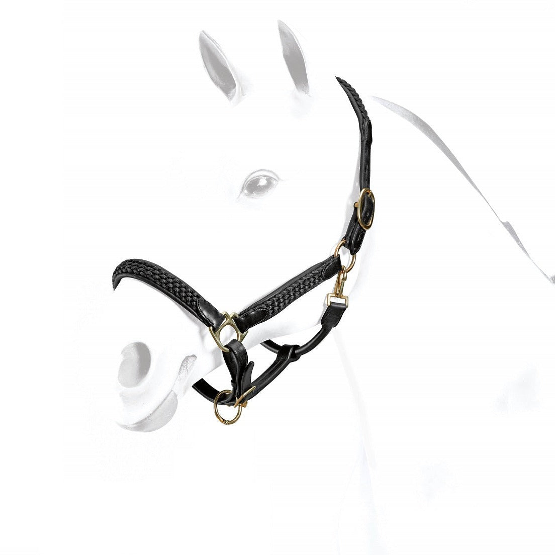 Equipe Leather Halter with Braid Detail-Trailrace Equestrian Outfitters-The Equestrian