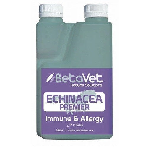 Betavet Echinacea 250ml-Ascot Saddlery-The Equestrian