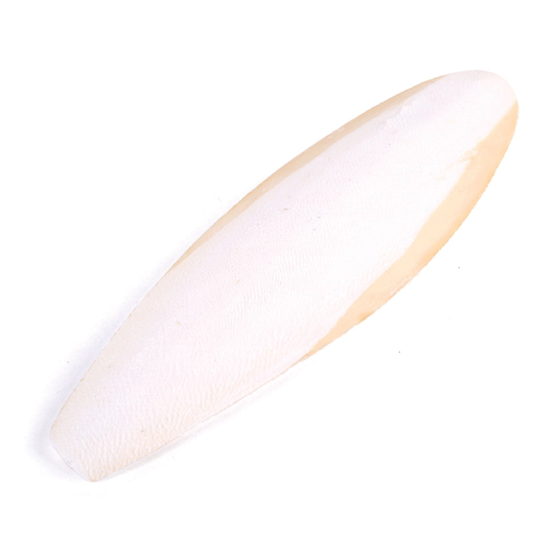 Bird Cuttlebone Natural 1 Pack Large-Ascot Saddlery-The Equestrian