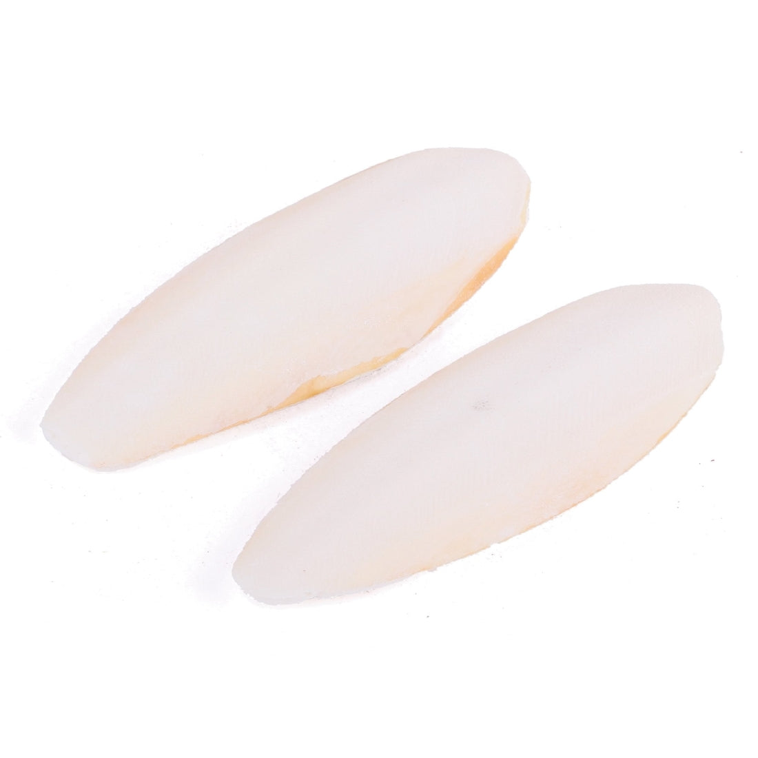 Bird Cuttlebone Natural 2 Pack Small-Ascot Saddlery-The Equestrian