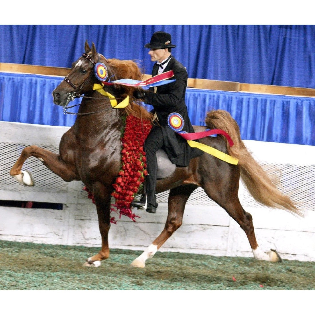 Equestrian rider on horse adorned with prizes for Breyer Horse Toys.