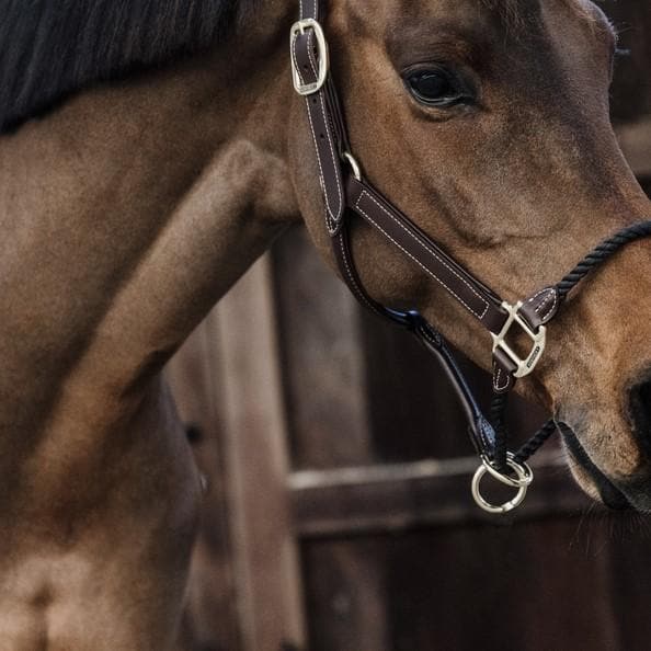 Kentucky Rope Leather Halter-Dapple EQ-The Equestrian