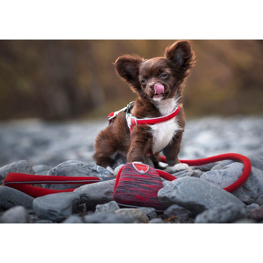 Harness Dog Coralpina Powermix Red Melange-Ascot Saddlery-The Equestrian