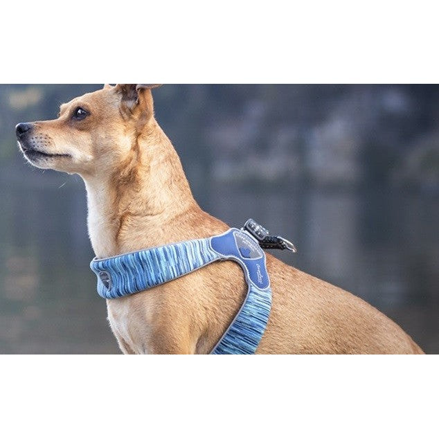 Harness Dog Coralpina Powermix Red Melange-Ascot Saddlery-The Equestrian