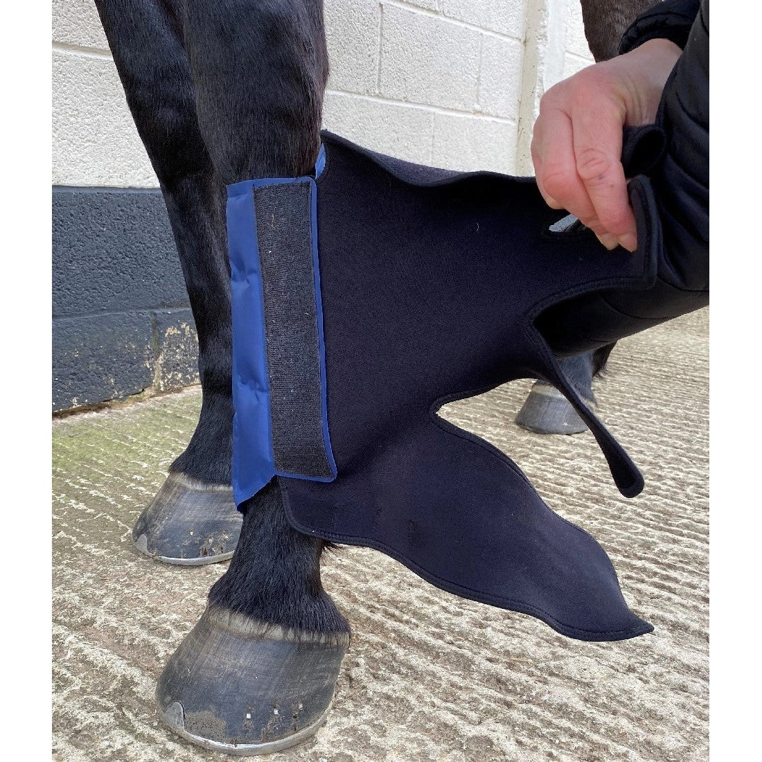 Ice Wrap Cryochaps K2f Pair Hind-Ascot Saddlery-The Equestrian