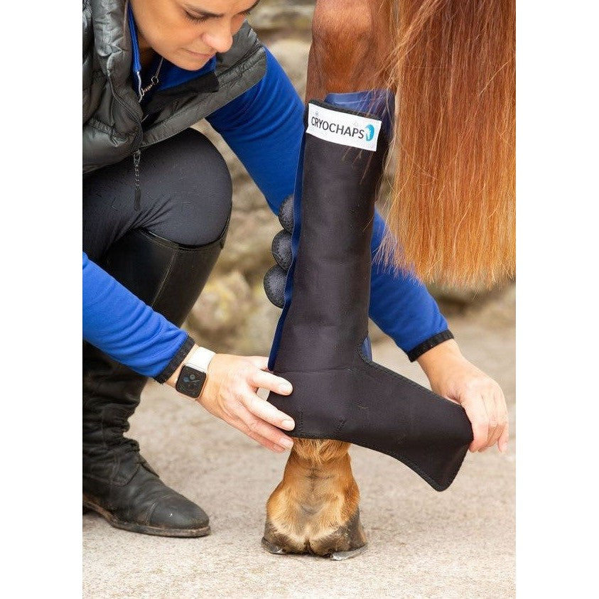 Ice Wrap Cryochaps K2f Pair Hind-Ascot Saddlery-The Equestrian