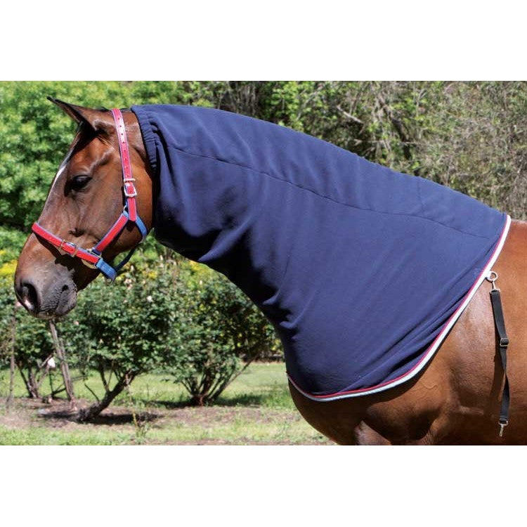 Horse wearing navy WeatherBeeta brand horse show rug outdoors.