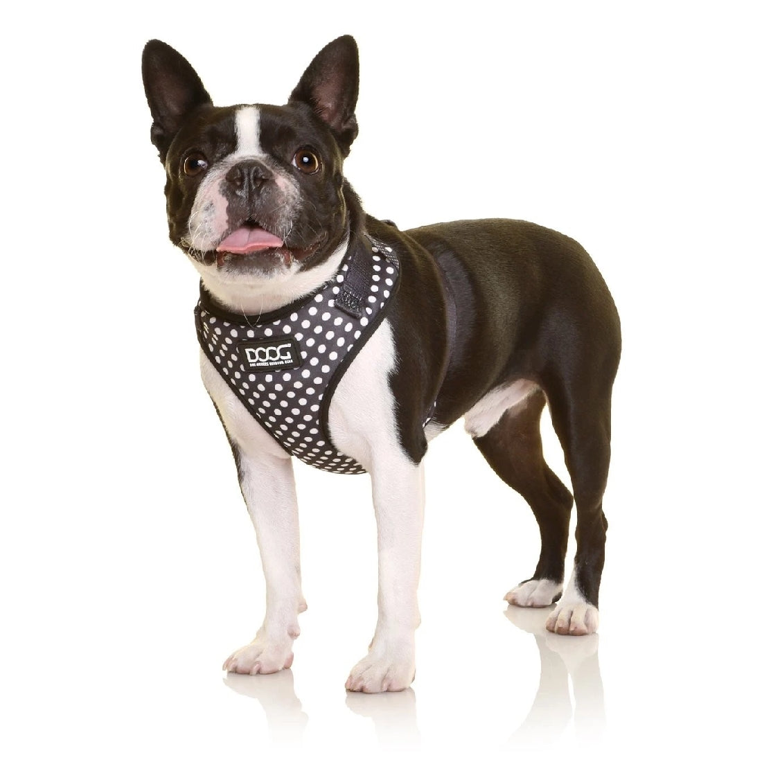 Harness Dog Doog Neoflex Pongo-Ascot Saddlery-The Equestrian