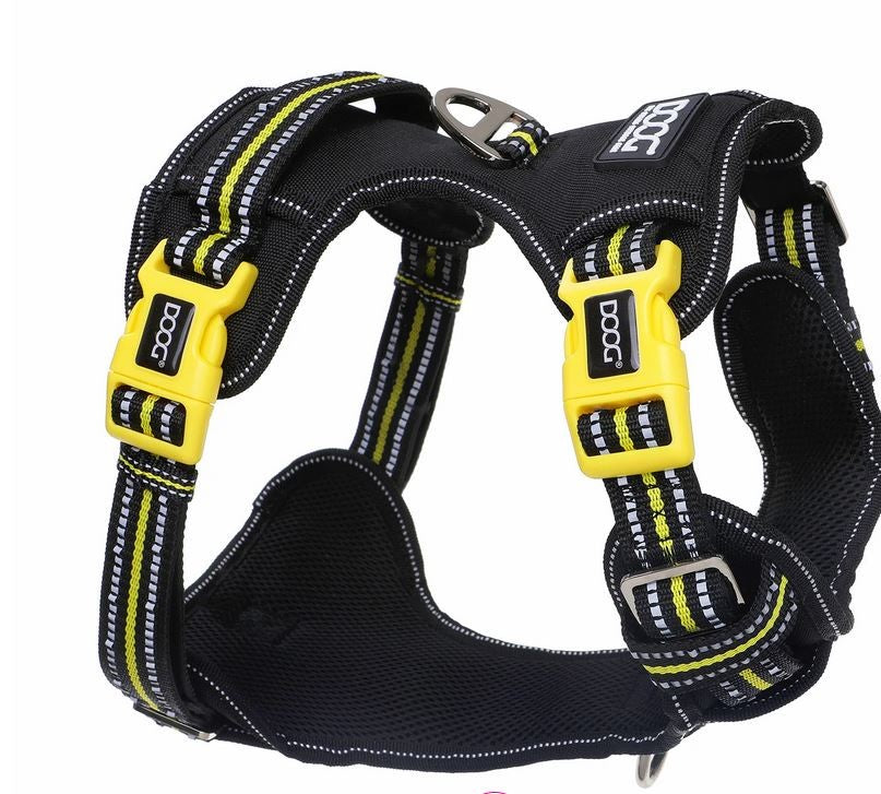 Harness Dog Doog Neotech Neon Bolt-Ascot Saddlery-The Equestrian