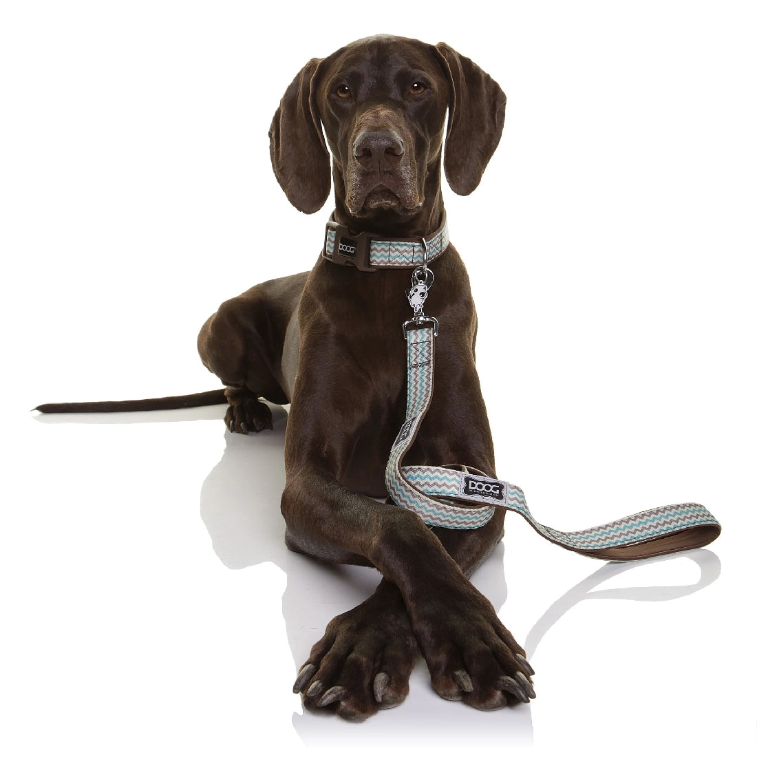 Doog Dog Leash Benji-Ascot Saddlery-The Equestrian