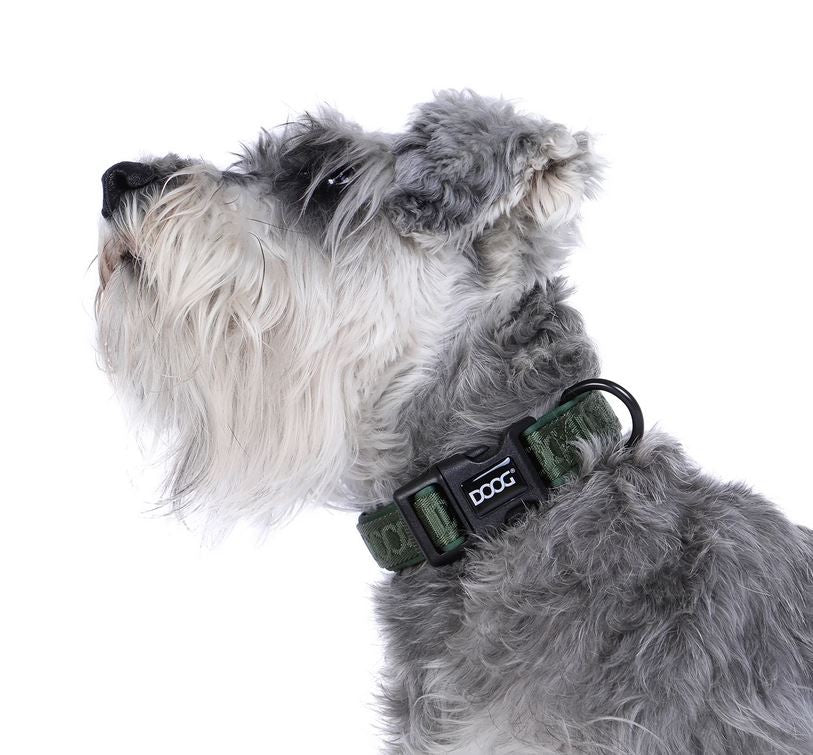 Doog Dog Collar Neosport Neoprene Green-Ascot Saddlery-The Equestrian