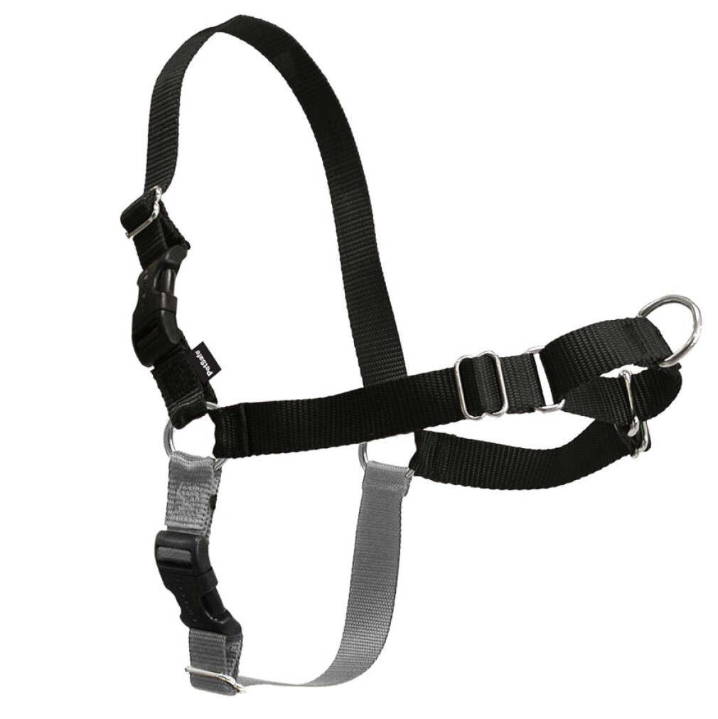 Easy Walk Harness Black-Ascot Saddlery-The Equestrian