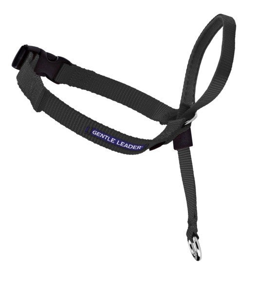 Easy Walk Headcollar Black-Ascot Saddlery-The Equestrian