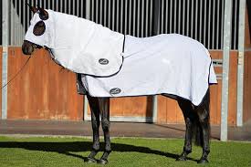 Horse covered with white Eurohunter horse rug standing outside.