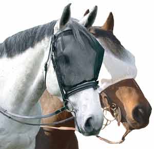 Two horses wearing black mesh fly veils for horses.