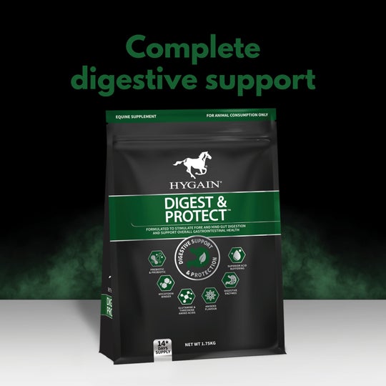 Hygain Digest & Protect-Southern Sport Horses-The Equestrian