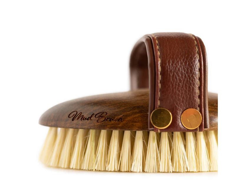 Hairy Pony Brush Mud-Ascot Saddlery-The Equestrian