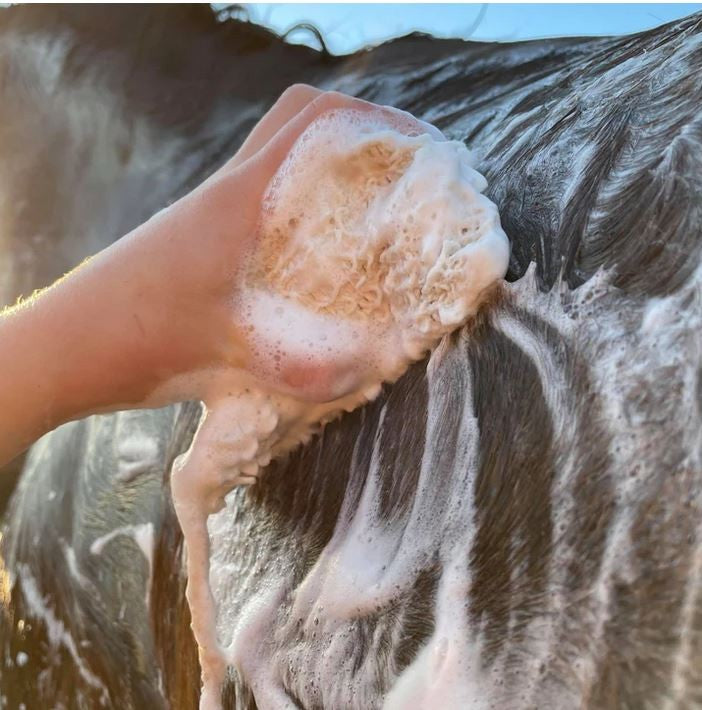 Hairy Pony Shampoo Bar Original-Ascot Saddlery-The Equestrian