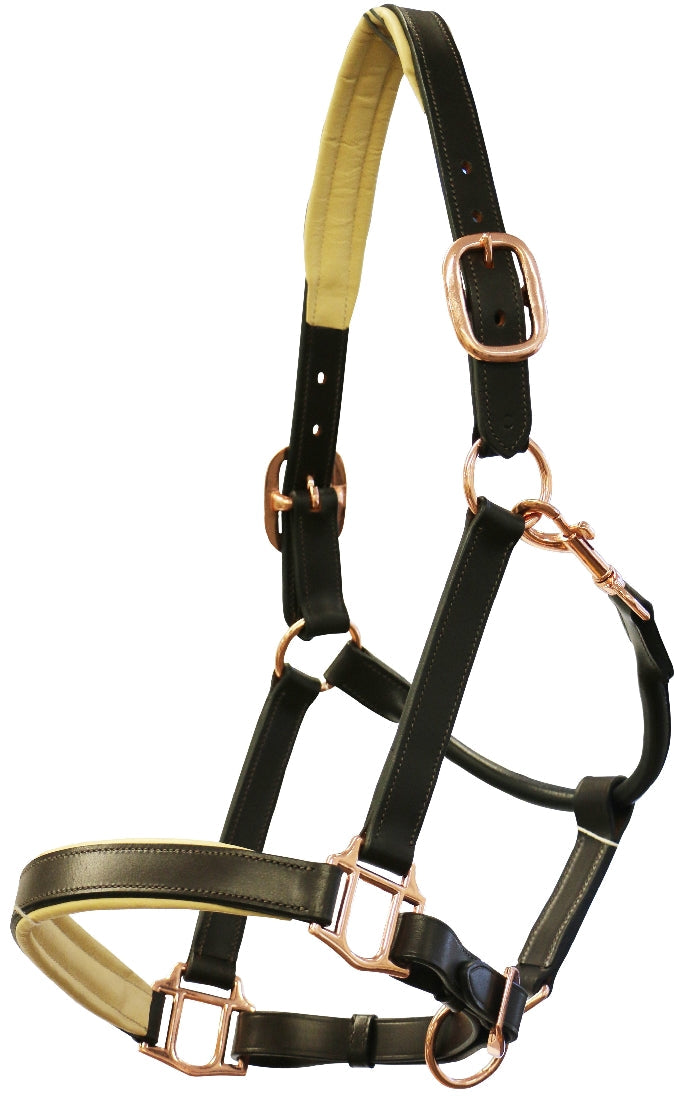 Headstall Leather Padded Jeremy & Lord Rose Gold Brown-Ascot Saddlery-The Equestrian