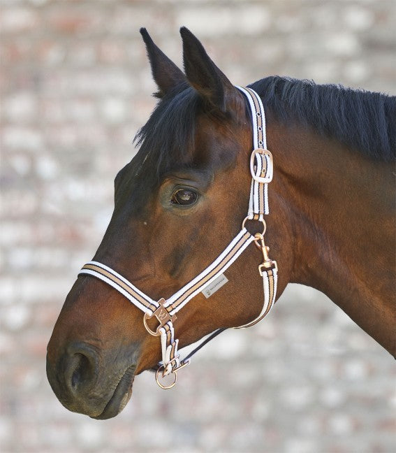 Headstall Rose Shine Elt White-Ascot Saddlery-The Equestrian