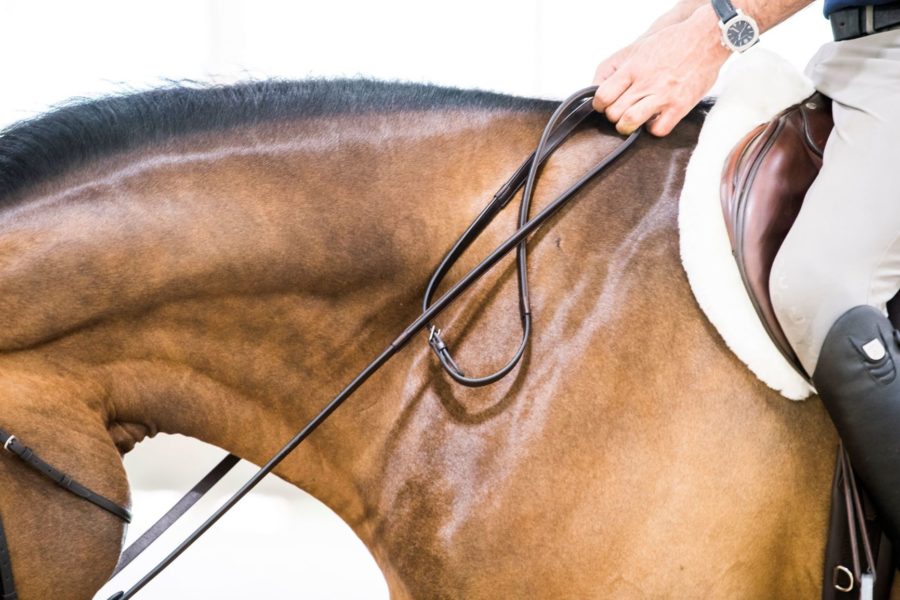 Close-up of rider on a saddled horse, Thinline reins.