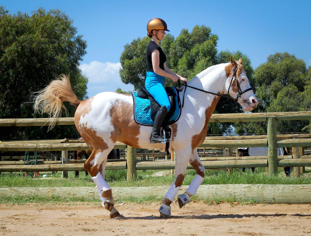 Micro Woven Cotton Blend Jodhpurs in Turquoise - Final runout, Last sizes-Plum Tack-The Equestrian