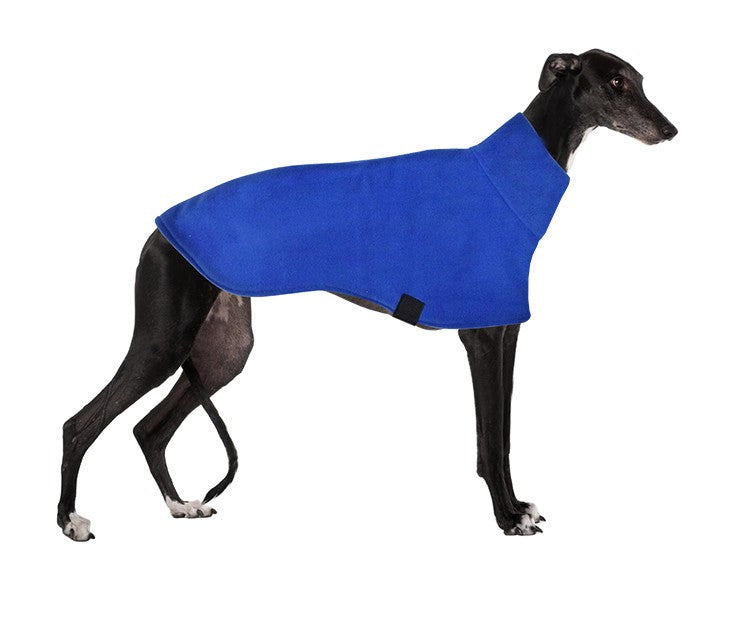 K9 Dog Skivvy Blue-Ascot Saddlery-The Equestrian