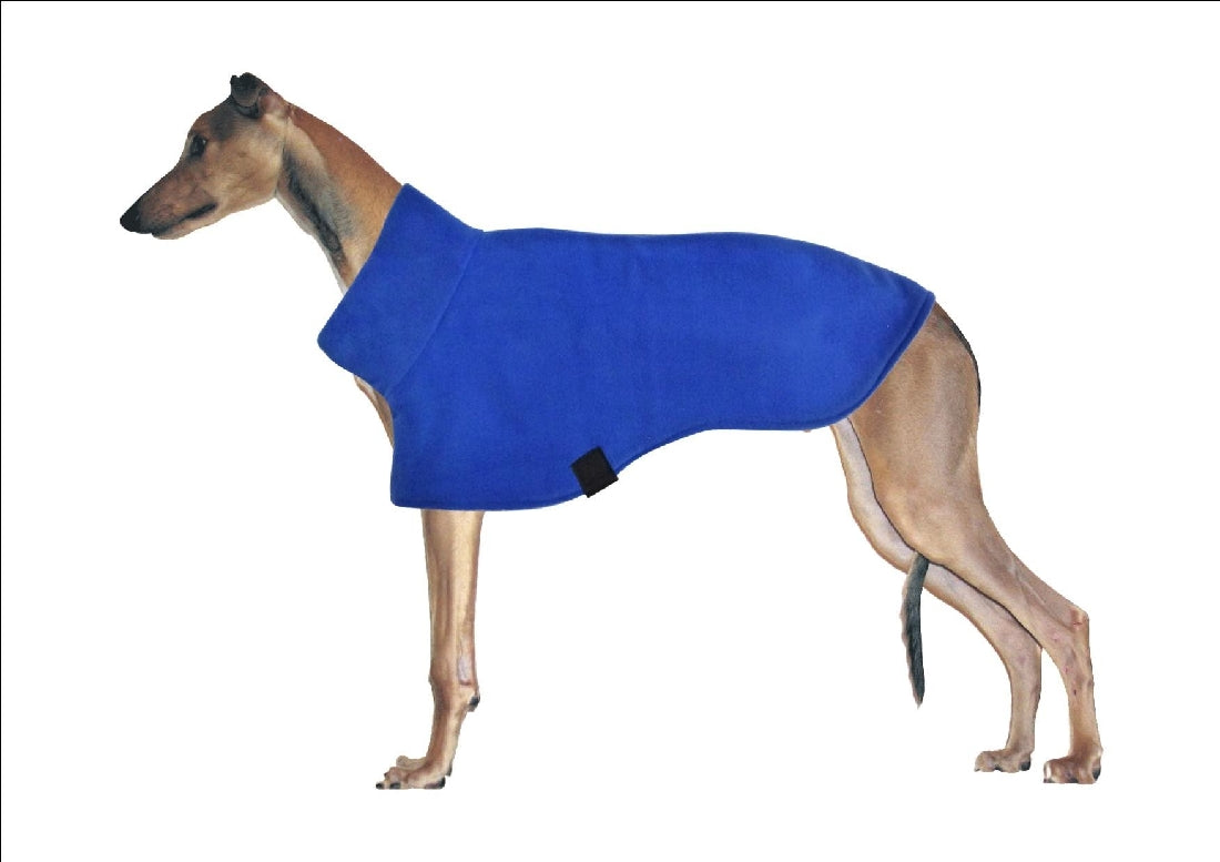 K9 Dog Skivvy Blue-Ascot Saddlery-The Equestrian