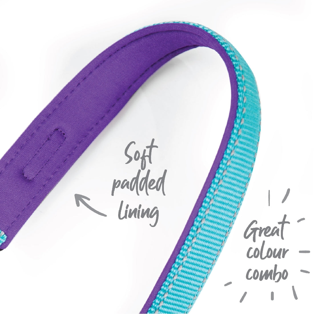 Kazoo Dog Collar Active Aqua & Purple-Ascot Saddlery-The Equestrian