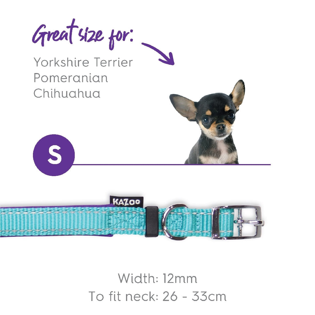 Kazoo Dog Collar Active Aqua & Purple-Ascot Saddlery-The Equestrian