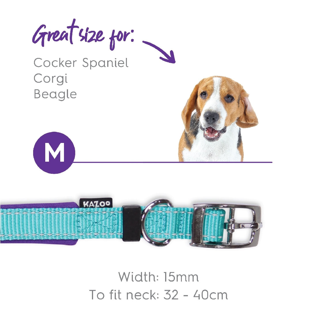 Kazoo Dog Collar Active Aqua & Purple-Ascot Saddlery-The Equestrian