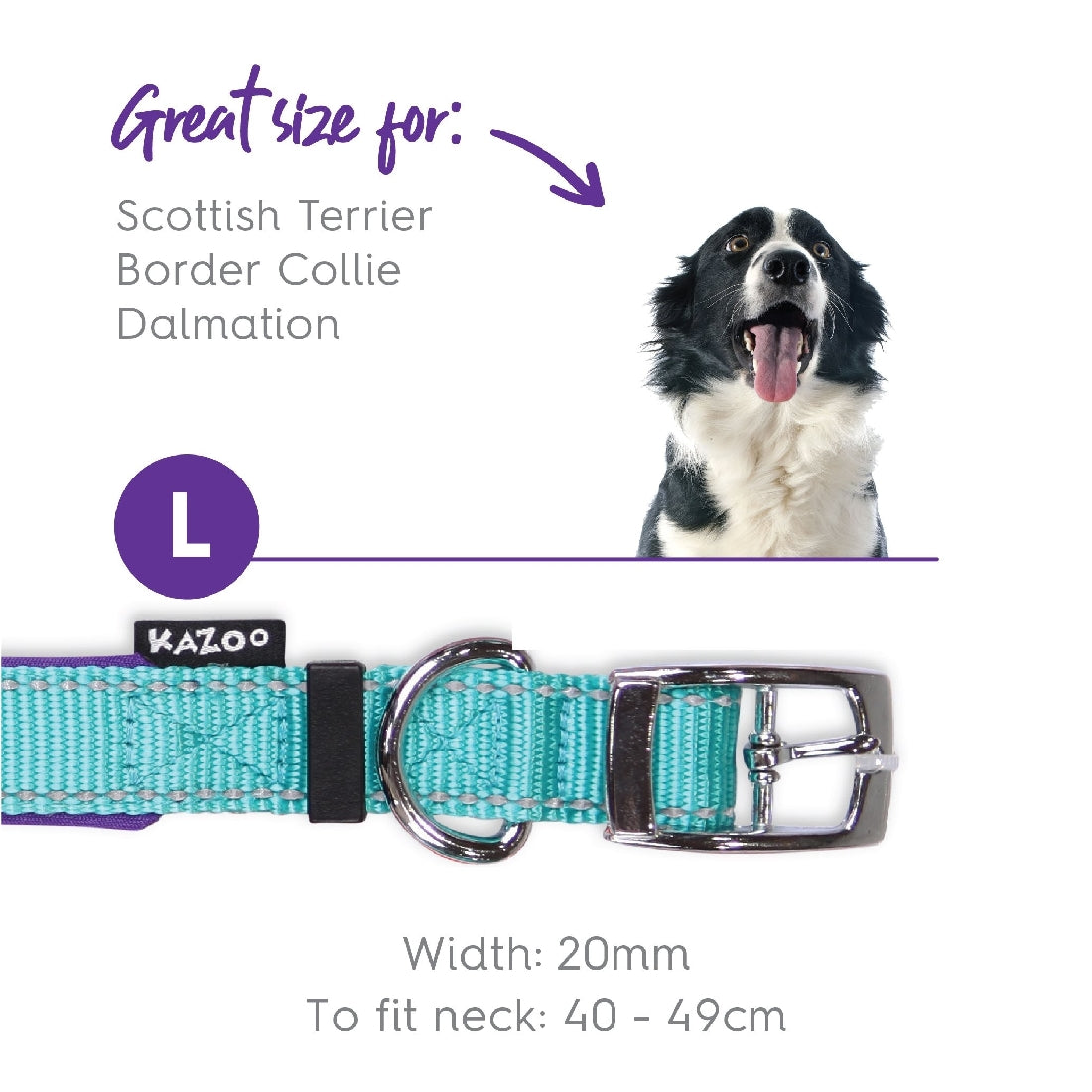 Kazoo Dog Collar Active Aqua & Purple-Ascot Saddlery-The Equestrian