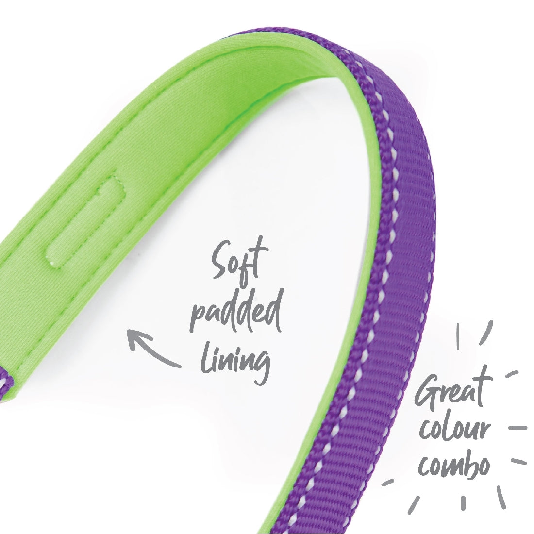 Kazoo Dog Collar Active Purple & Lime-Ascot Saddlery-The Equestrian