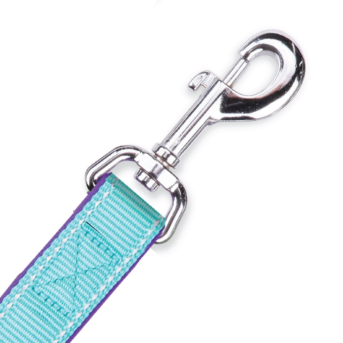 Kazoo Dog Leash Active Aqua & Purple 1200mm-Ascot Saddlery-The Equestrian