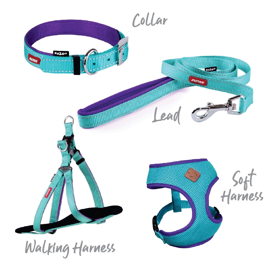 Kazoo Dog Leash Active Aqua & Purple 1200mm-Ascot Saddlery-The Equestrian