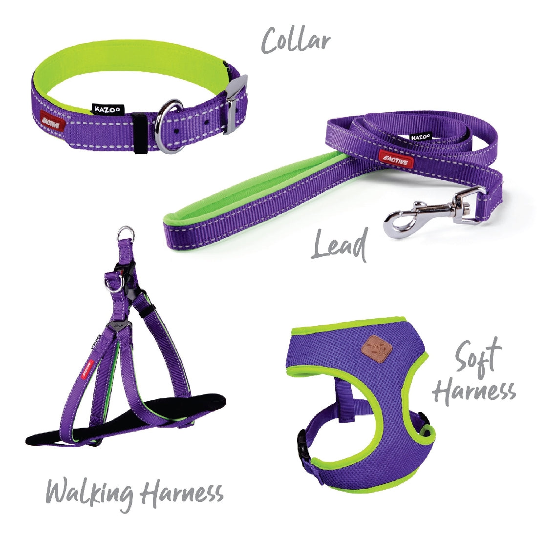 Kazoo Dog Leash Active Purple & Lime 1200mm-Ascot Saddlery-The Equestrian