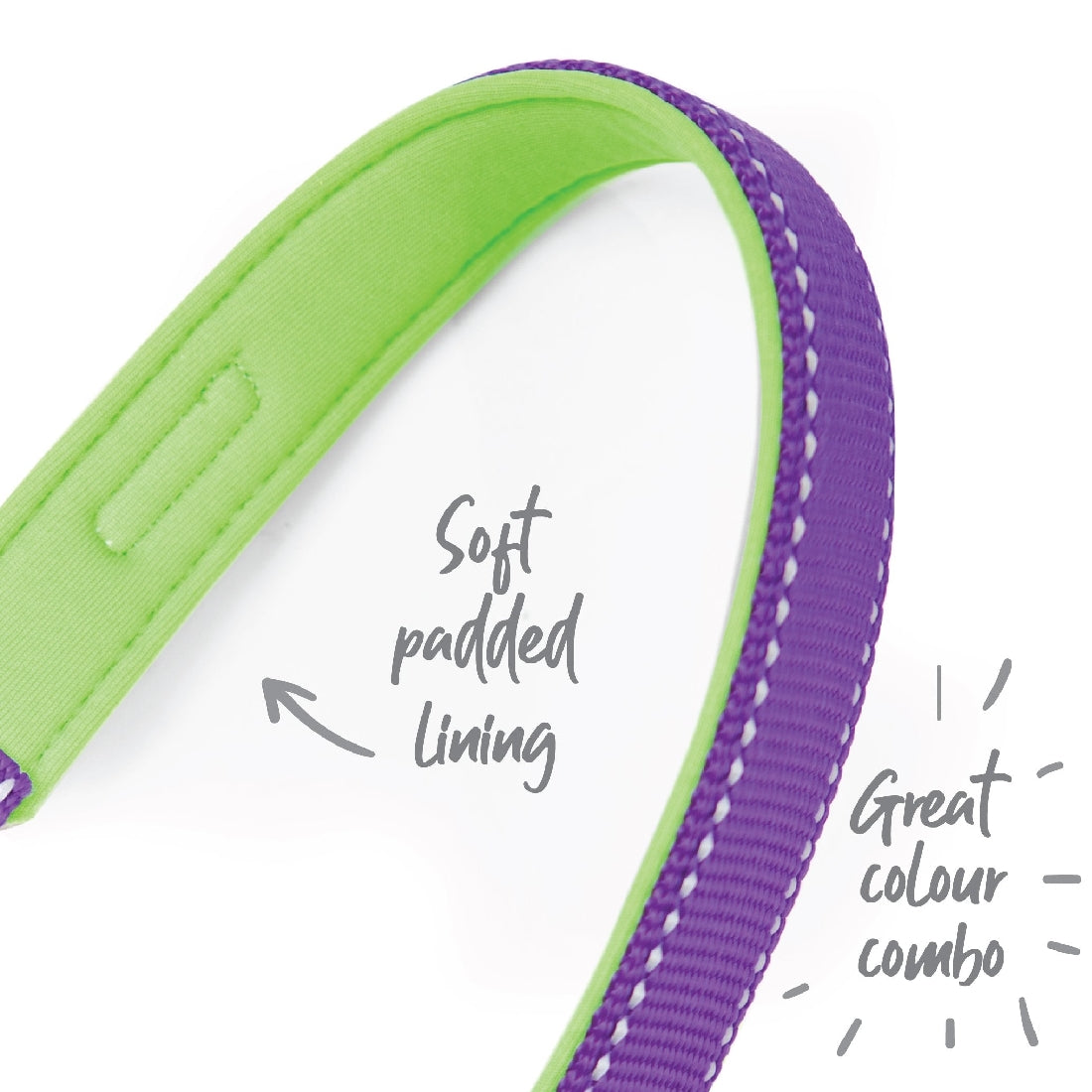 Kazoo Dog Leash Active Purple & Lime 1800mm-Ascot Saddlery-The Equestrian