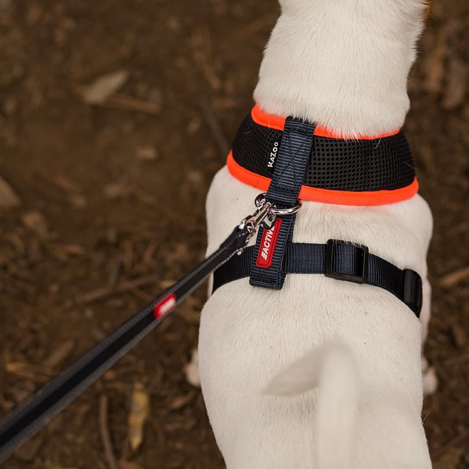 Kazoo Dog Leash Active Slate & Orange 1200mm-Ascot Saddlery-The Equestrian