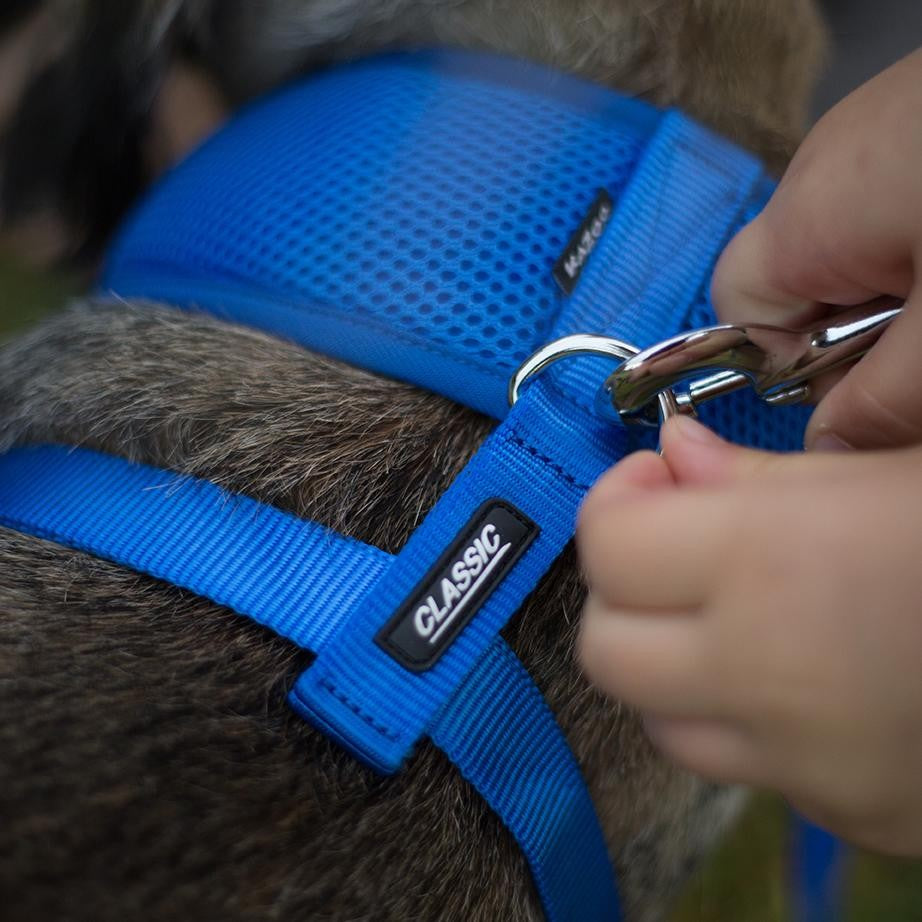 Kazoo Dog Leash Classic Blue 1800mm-Ascot Saddlery-The Equestrian